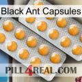 Black Ant Capsules levitra2